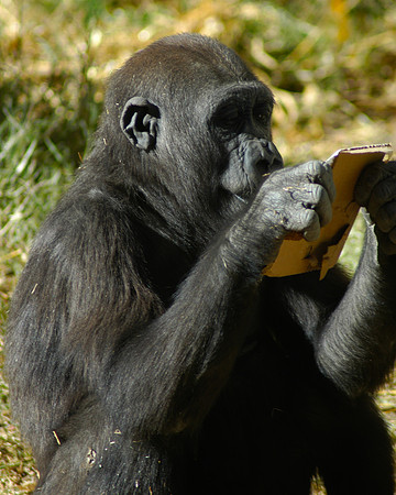 Reading the label