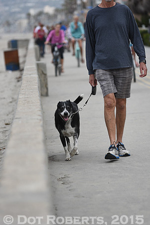 Walk on the Beach