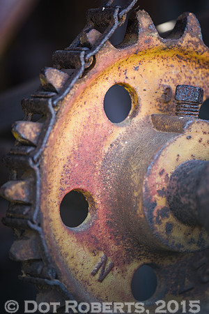 Gear and Chain