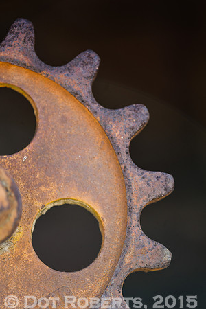 Gear