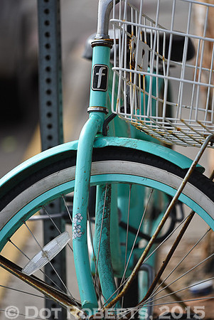 Blue Cruiser