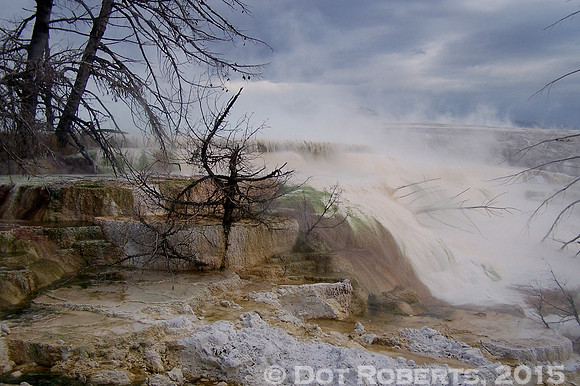 Mammoth Hot Springs