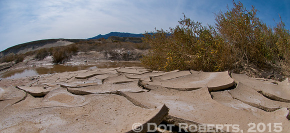 Cracked Earth