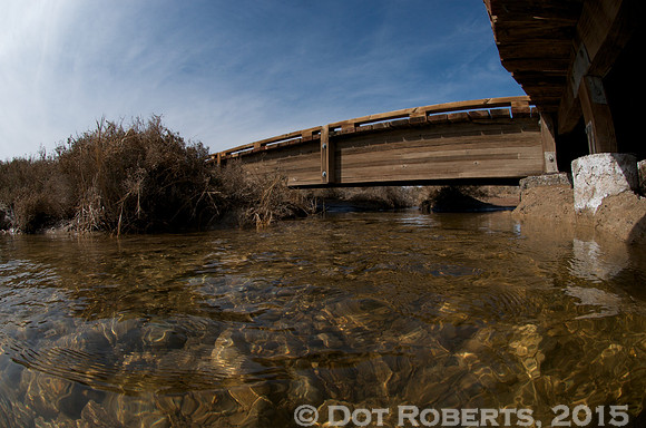 Bridge