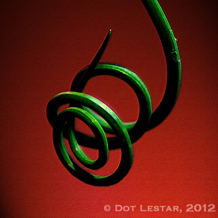Onion grass