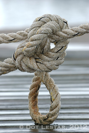 Knot