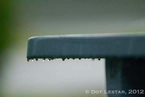 Dripping Rain