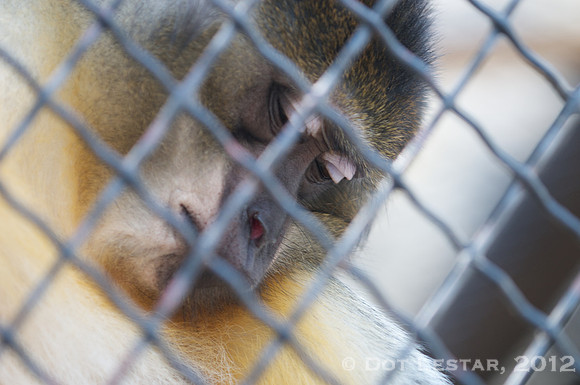 Behind Bars