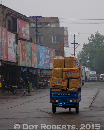 Goods to the Market