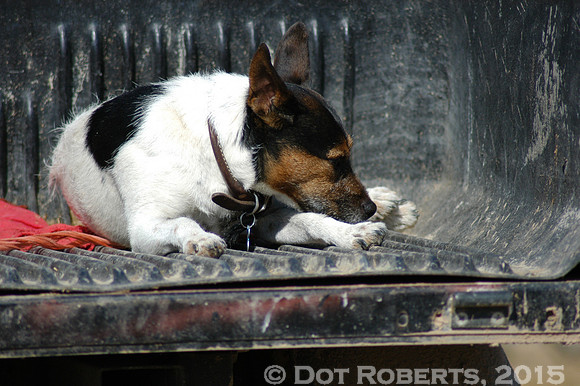 Nap time