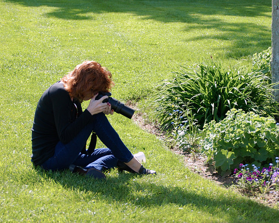 Flower Paparazzo